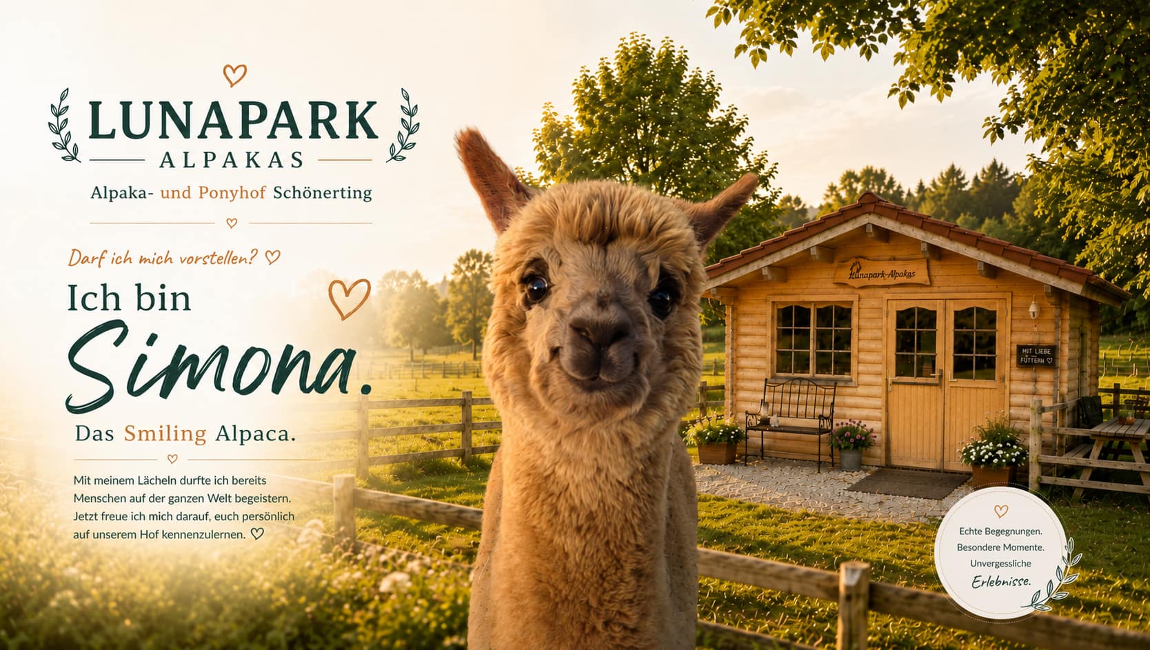 Alpaka- und Ponyhof Schönerting Simona