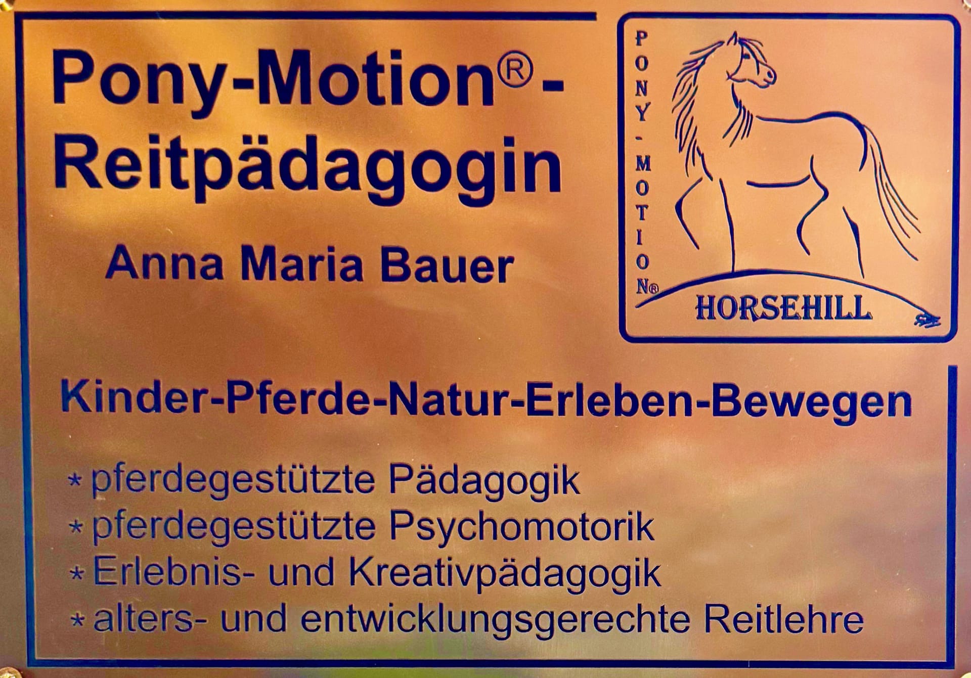 Pony-Motion