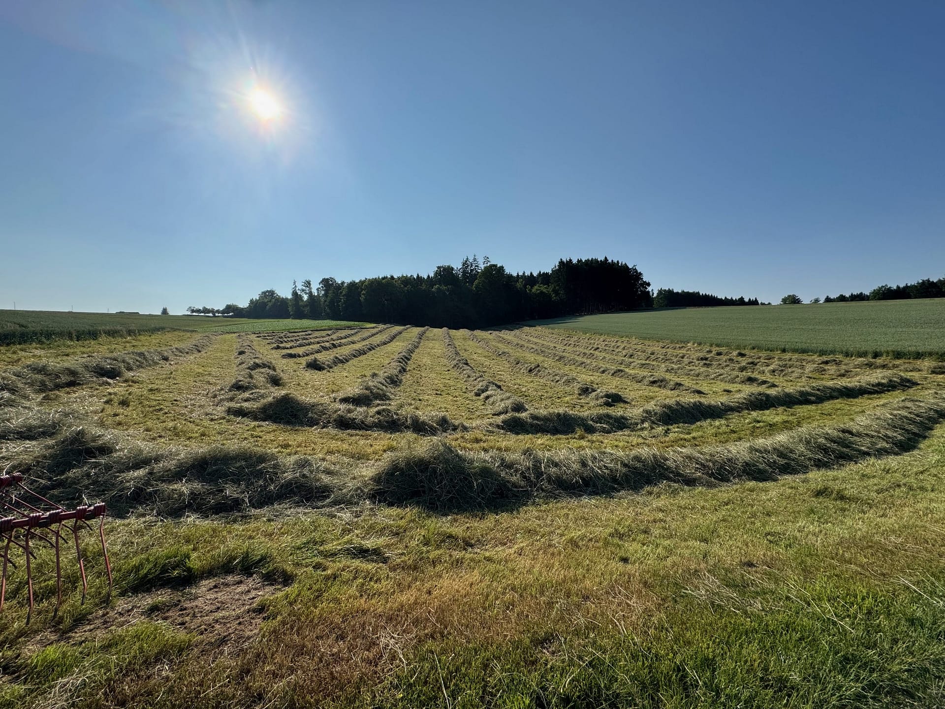 Erlebnisbauernhof was wächstauf unseren Feldern